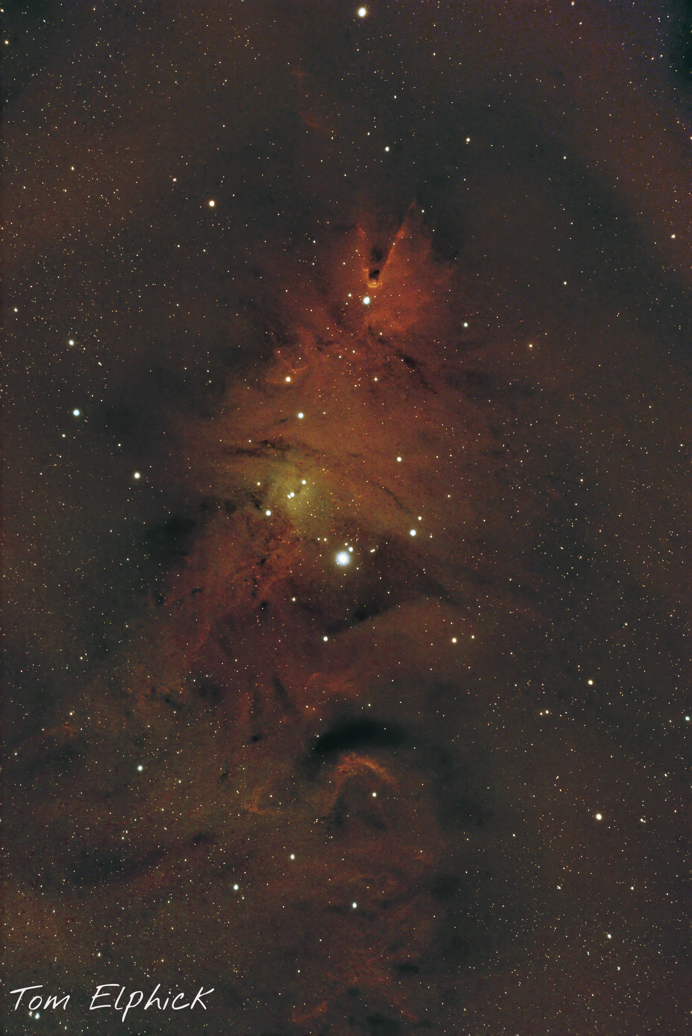 The Cone Nebula