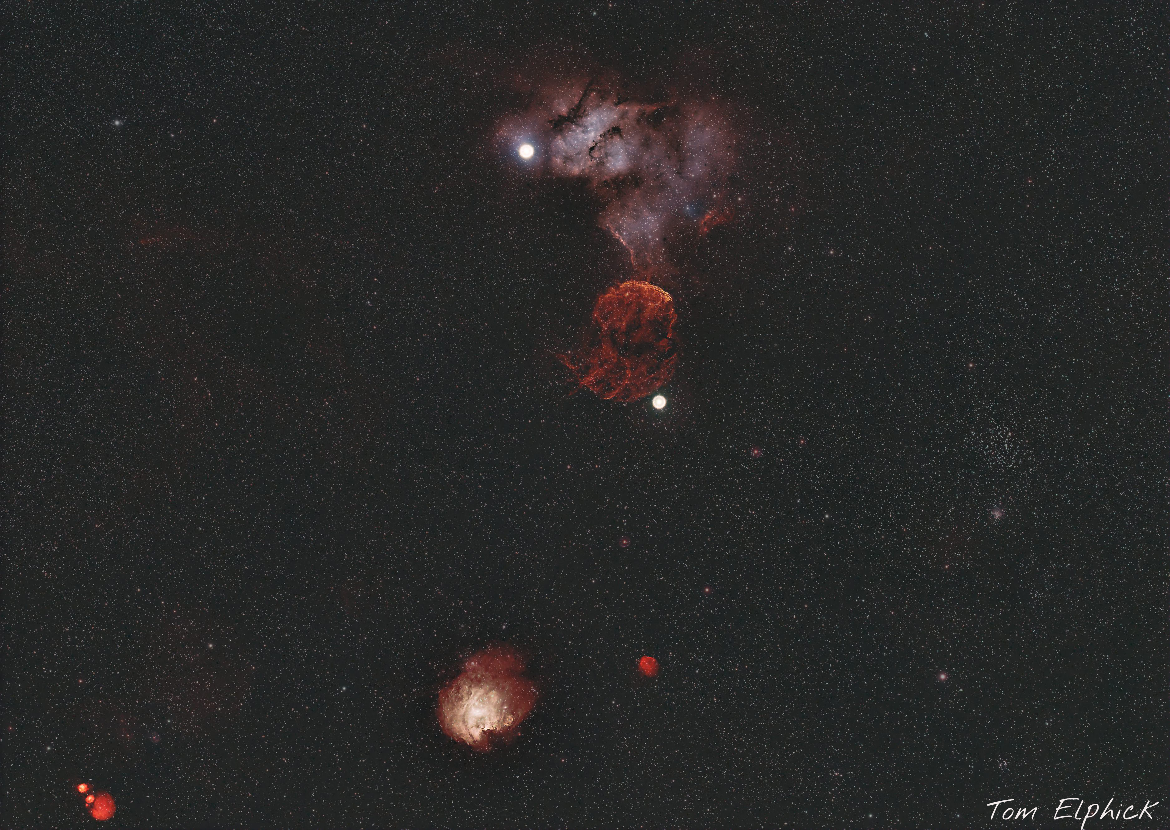 The JellyFish_wide