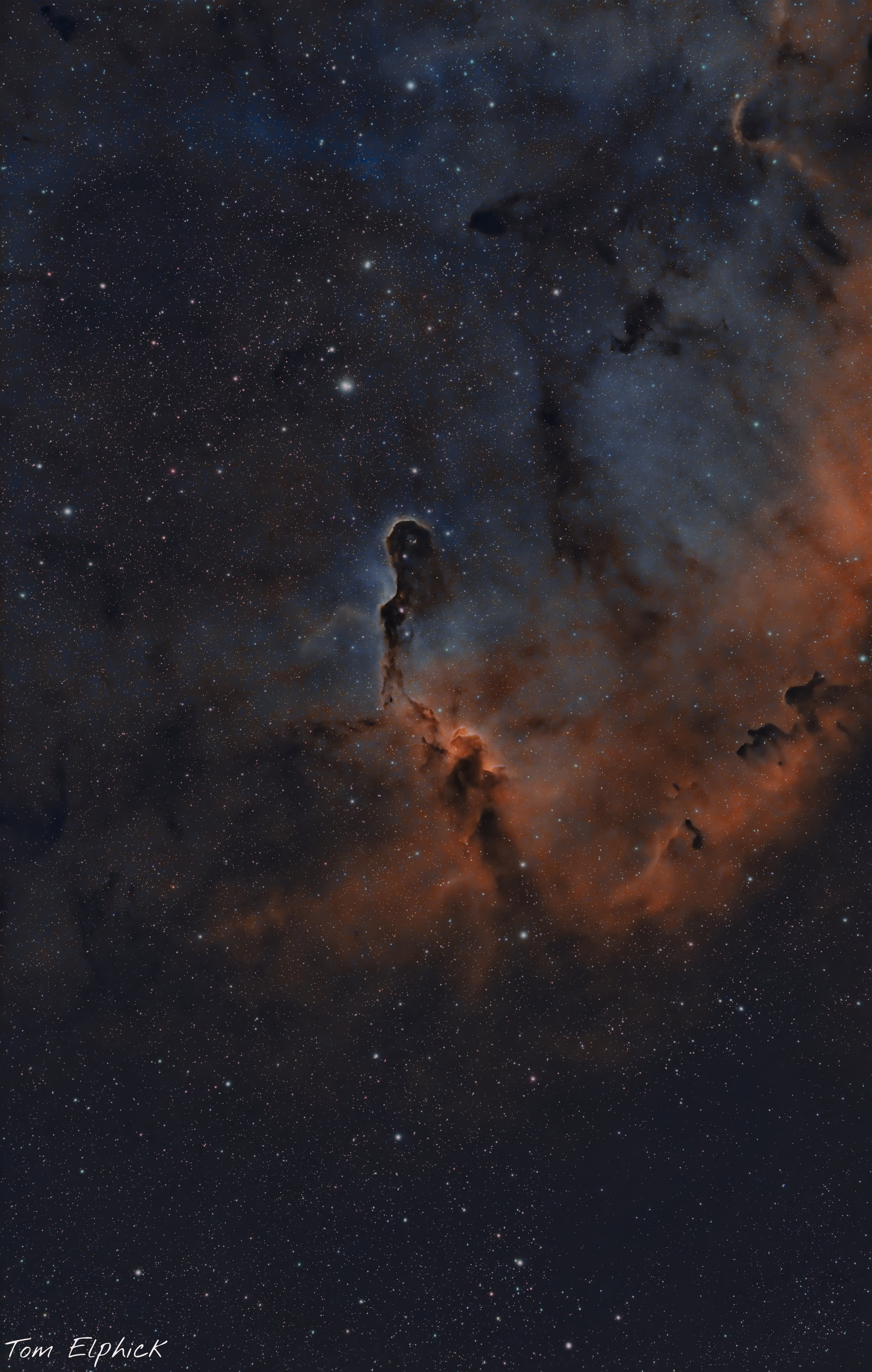 The Elephant's Trunk Nebula