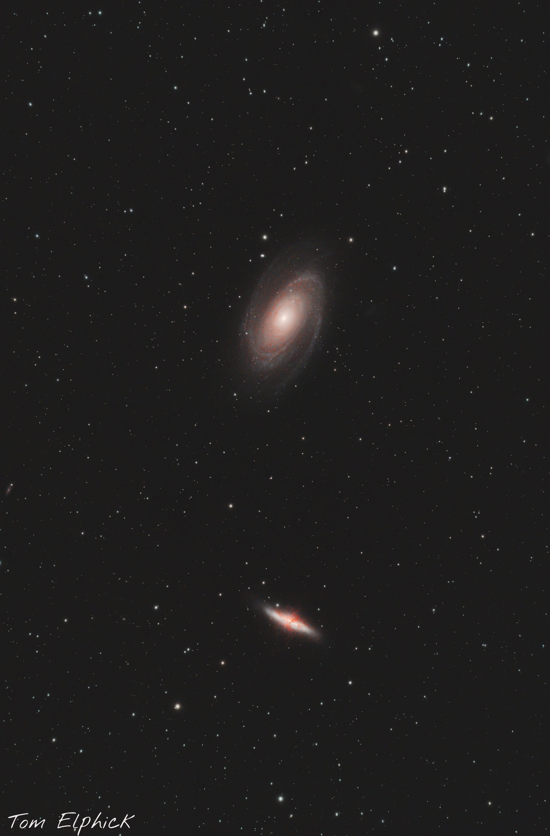 M81