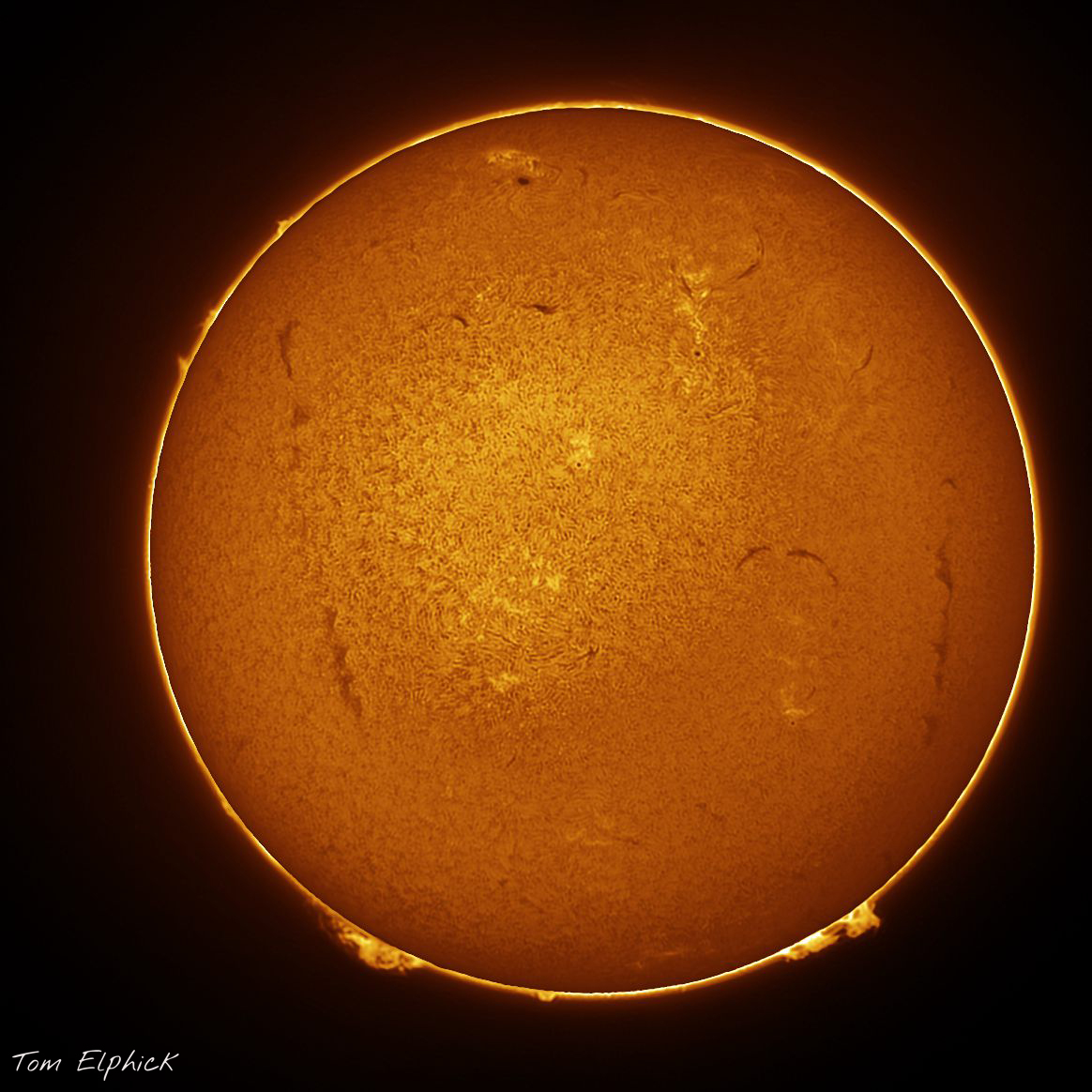 The Sun